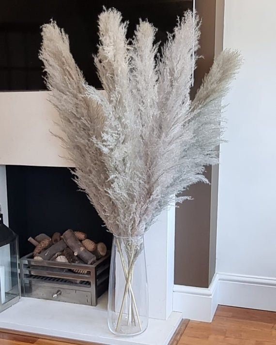 Dried Pampas XL-Grey | Verified Sustainable Decor & Artefacts on Brown Living™