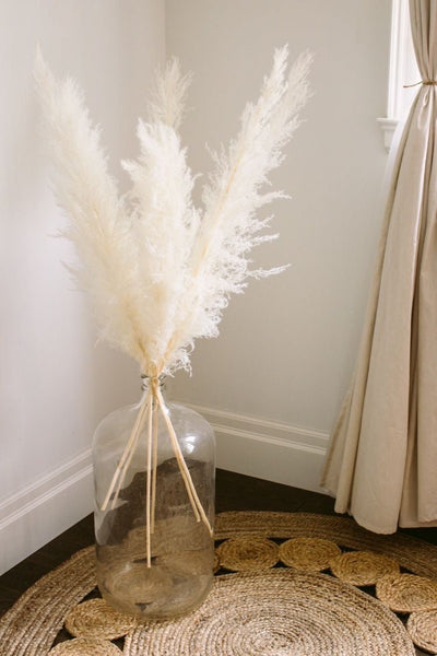 Dried Pampas XL - White – Decor & Artefacts on Brown Living™. SKU: 244. Img 3.