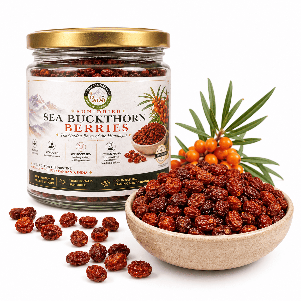 Dried Seabuckthorn Berries | Natural Himalayan Berry – Snack Foods on Brown Living™. SKU: BH-SB-100G. Img 1.