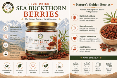 Dried Seabuckthorn Berries | Natural Himalayan Berry – Snack Foods on Brown Living™. SKU: BH-SB-100G. Img 5.