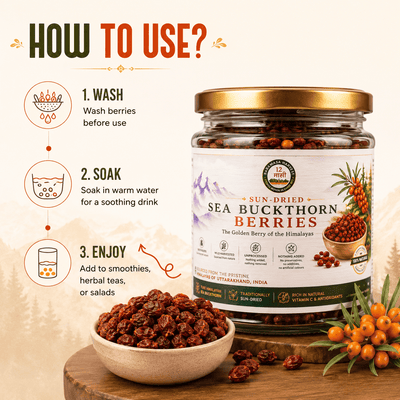 Dried Seabuckthorn Berries | Natural Himalayan Berry – Snack Foods on Brown Living™. SKU: BH-SB-100G. Img 4.