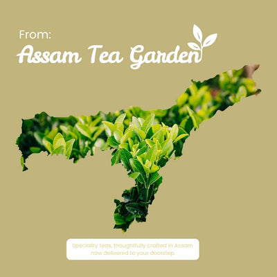 Earl Grey Aura Tea – English Breakfast Bergamot, Aids Metabolism – 50g – Tea on Brown Living™. SKU: OTTin50New. Img 8.