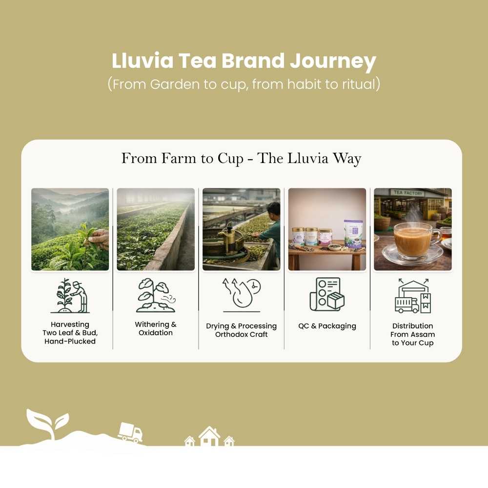 Earl Grey Aura Tea – English Breakfast Bergamot, Aids Metabolism – 50g – Tea on Brown Living™. SKU: OTTin50New. Img 7.