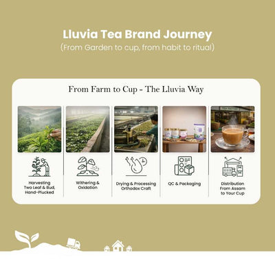 Earl Grey Aura Tea – English Breakfast Bergamot, Aids Metabolism – 50g – Tea on Brown Living™. SKU: OTTin50New. Img 7.