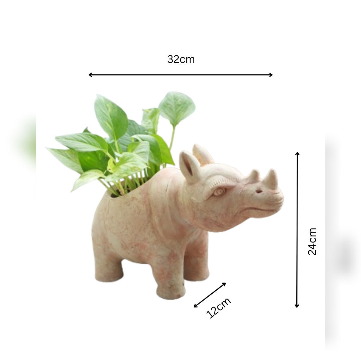 Earthy Rhino Earthen Planter – Pots & Planters by Swadeh available on Brown Living™. . SKU: A0_plt_0056. Img 4.