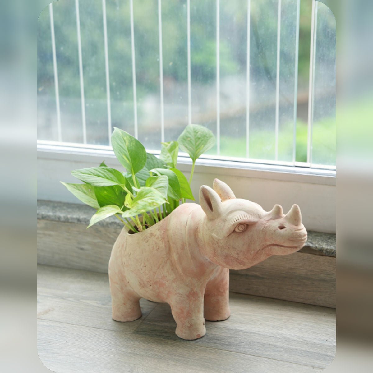 Earthy Rhino Earthen Planter – Pots & Planters by Swadeh available on Brown Living™. . SKU: A0_plt_0056. Img 1.