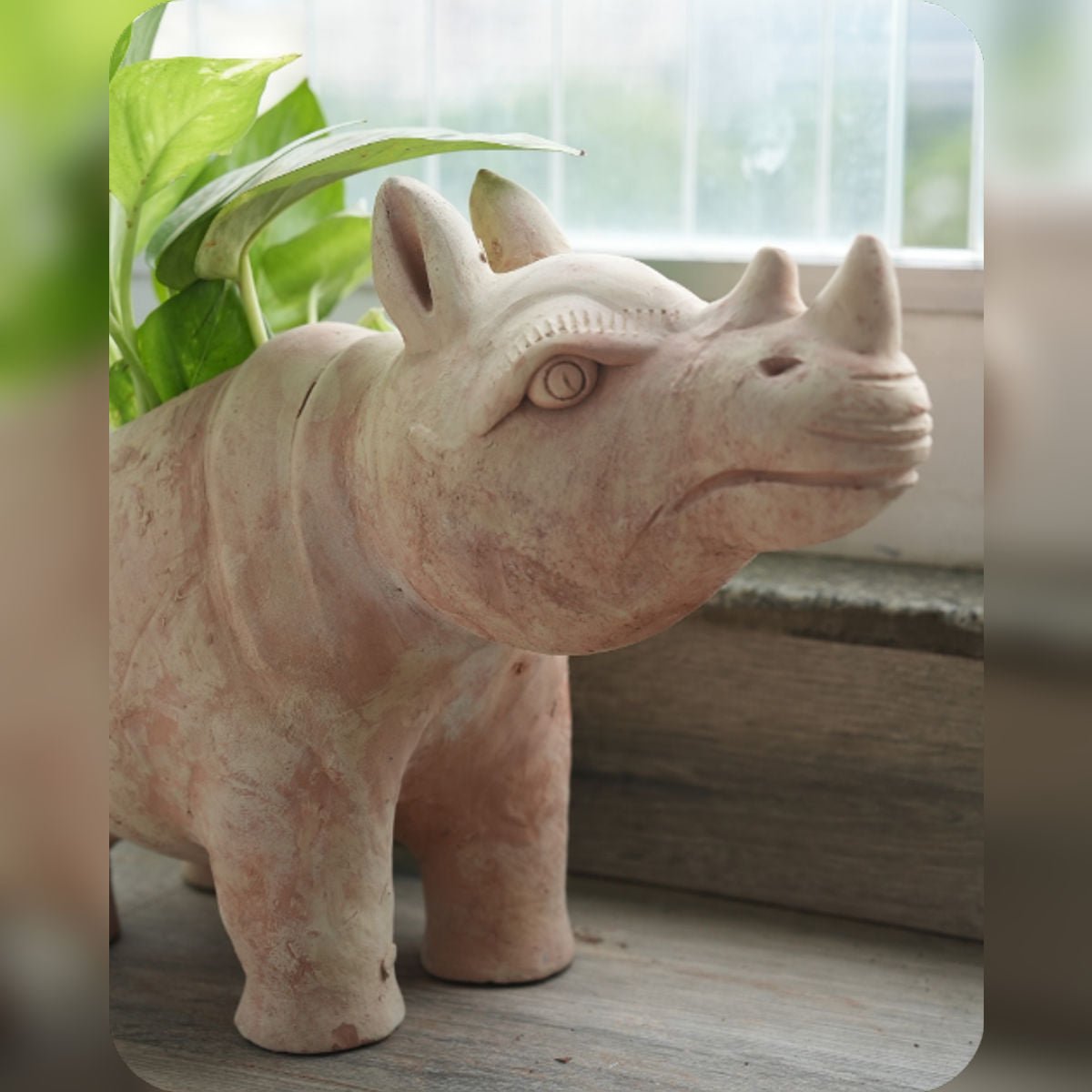 Earthy Rhino Earthen Planter – Pots & Planters by Swadeh available on Brown Living™. . SKU: A0_plt_0056. Img 2.