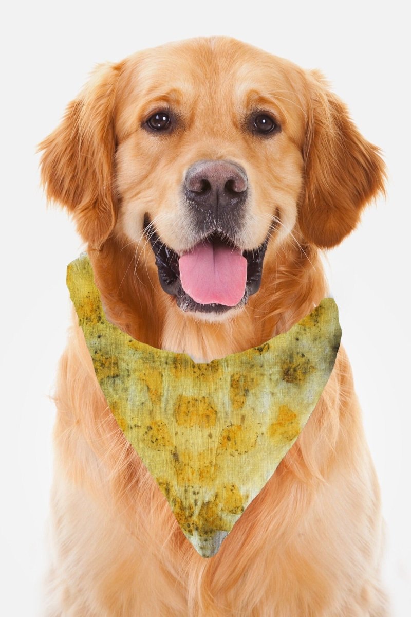 Eco Printed Organic Cotton Pet Scarf - Yellow White | Verified Sustainable by Brown Living™