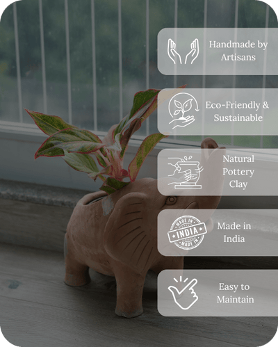 Elephant Earthen Planter – Pots & Planters on Brown Living™. SKU: A0_plt_0048. Img 3.