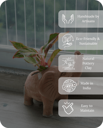 Elephant Earthen Planter – Pots & Planters by Swadeh available on Brown Living™. . SKU: A0_plt_0048. Img 3.