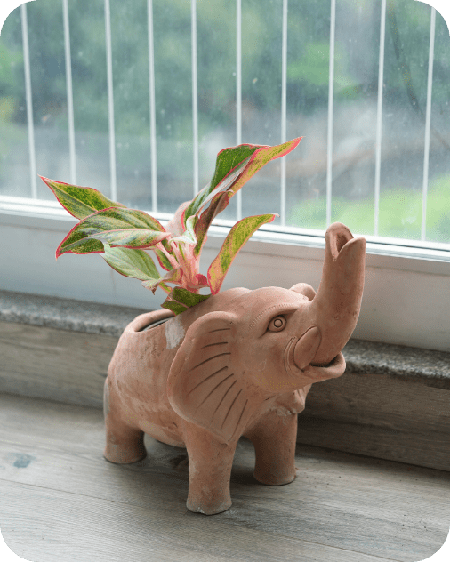 Elephant Earthen Planter – Pots & Planters by Swadeh available on Brown Living™. . SKU: A0_plt_0048. Img 1.