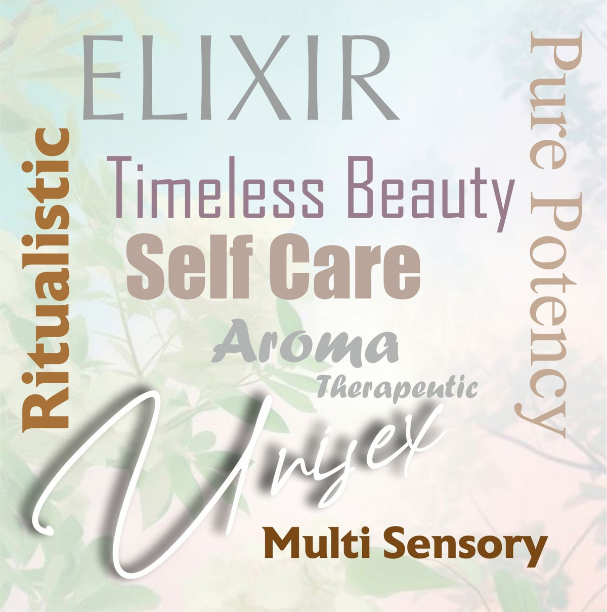 Elixir Hydrating Face Gel with Aloe Vera – 50ml | Lightweight – Face Cream on Brown Living™. SKU: 24-HFG-50ML. Img 4.