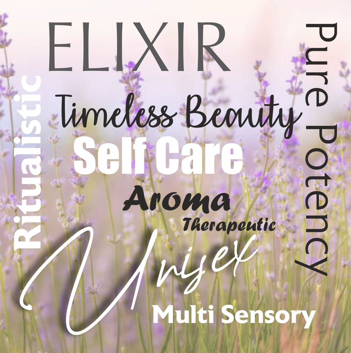 Elixir Rosemary Essential Oil-30ML – Body Oil on Brown Living™. SKU: SKIE02. Img 5.