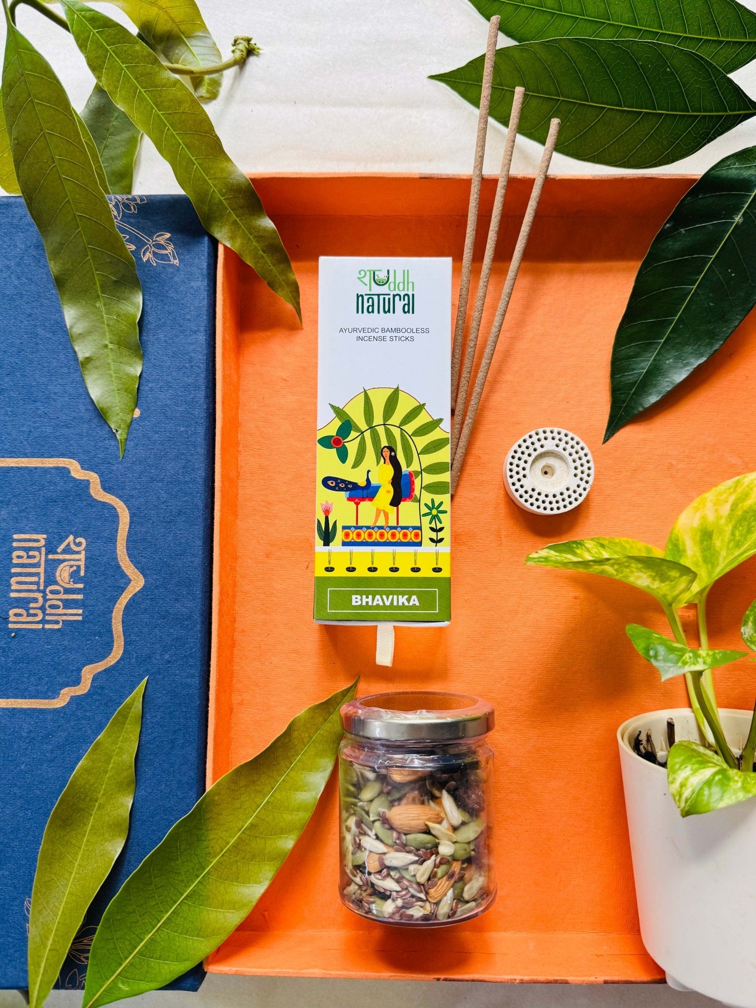 Festive Gift Box | Self Watering Plant I Dry Fruit I Incense Sticks – Gift Hampers on Brown Living™. SKU: SNSWP04. Img 1.