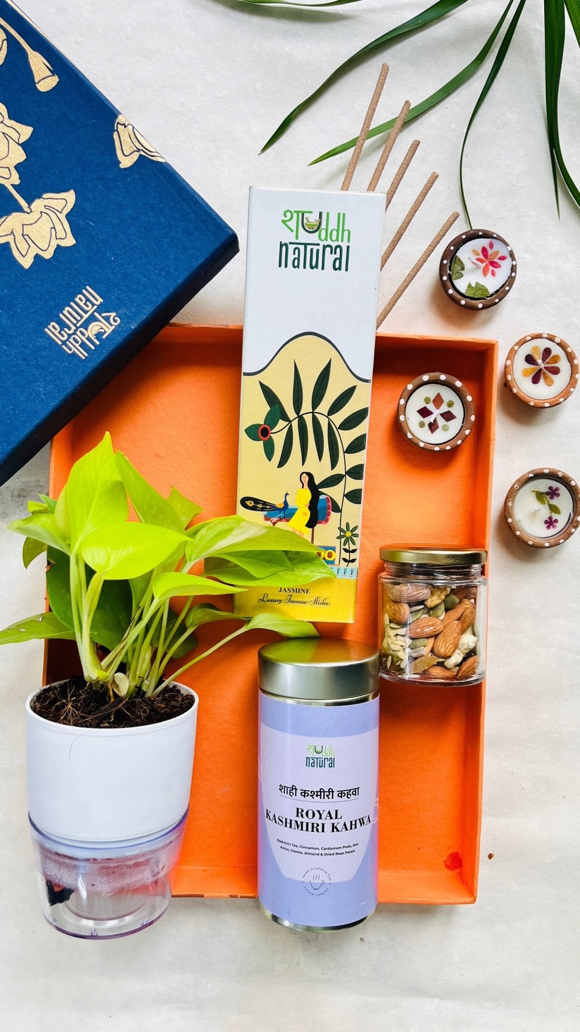 Festive Gift Box | Self Watering Plant I Tea I Dry Fruit I Incense – Gift Hampers on Brown Living™. SKU: SNSWP03. Img 1.