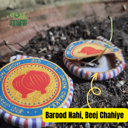 Festive Hamper | Tea I Seed Patakha Set of 4 | Brass Strainer – Gift Hampers on Brown Living™. SKU: SNTBSP04. Img 5.