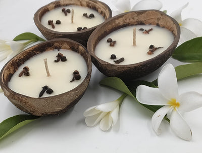 Fragrant Coconut Shell Candles | Eco - Friendly Handmade Natural Decor – Home Decor on Brown Living™. SKU: SN2562. Img 2.