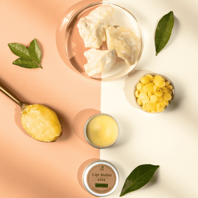 Ghee Lip Balm | For Dry, Chapped & Pigmented Lips | With A2 Cow Ghee – Lip Balms by Lilo Naturals available on Brown Living™. Pack Of 1 . SKU: SKU002 - 1. Img 8.