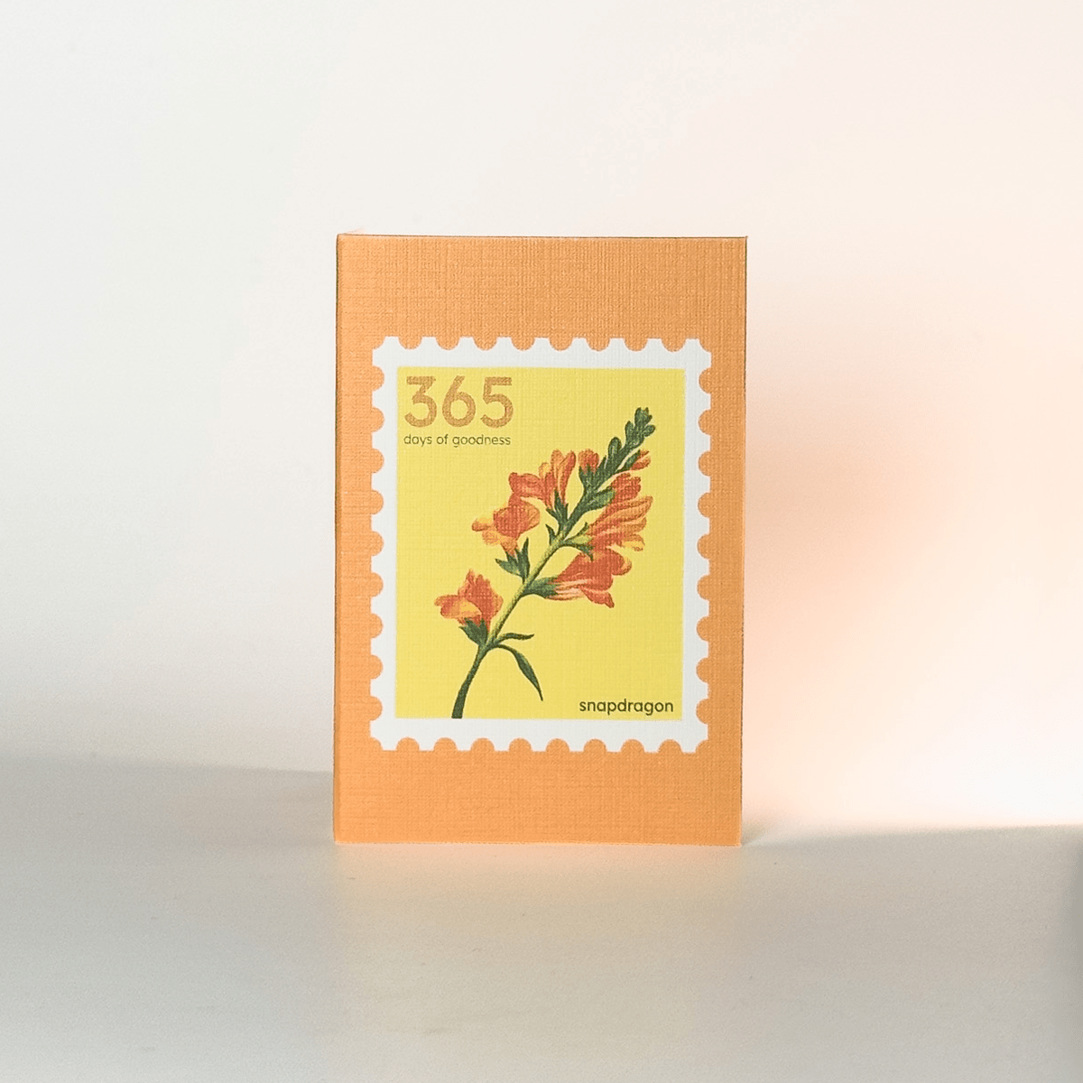 Gift tags | Notelets | Set of 20 – Gift Tags & Labels on Brown Living™. SKU: NT01. Img 9.