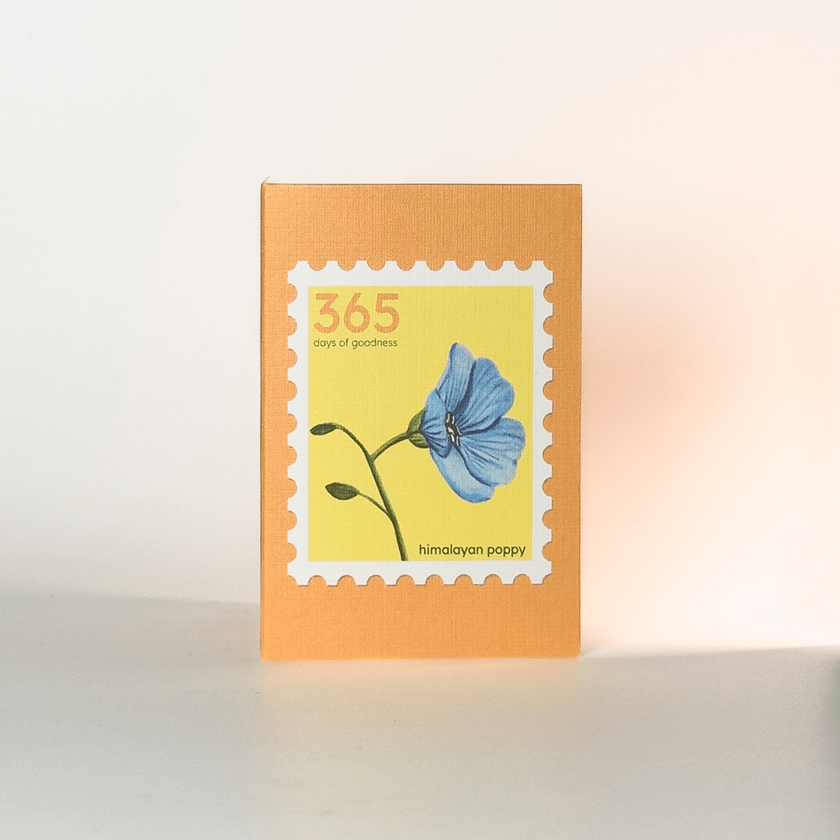 Gift tags | Notelets | Set of 20 – Gift Tags & Labels on Brown Living™. SKU: NT01. Img 7.