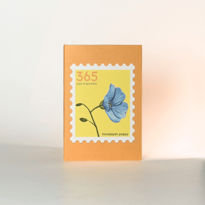 Gift tags | Notelets | Set of 20 – Gift Tags & Labels on Brown Living™. SKU: NT01. Img 7.