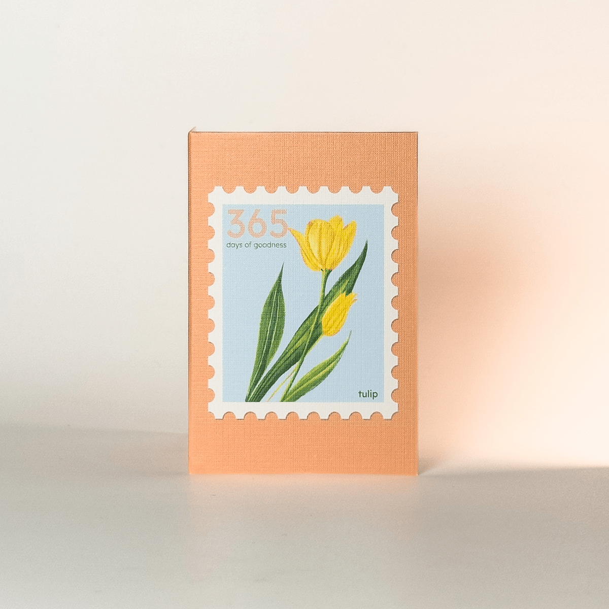 Gift tags | Notelets | Set of 20 – Gift Tags & Labels on Brown Living™. SKU: NT01. Img 11.