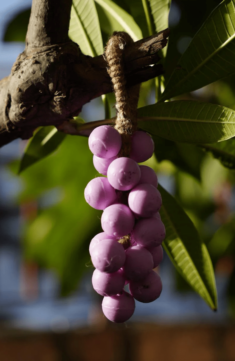 Grape Bunch Soap | Handmade Moisturizing Bath Soap – Body Soap on Brown Living™. SKU: PRPL001. Img 3.
