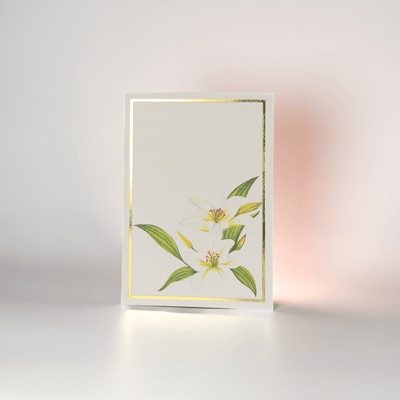 Greeting Cards Floral Collection | Set of 8 | A6 Size – Greeting & Note Cards on Brown Living™. SKU: GC01. Img 8.
