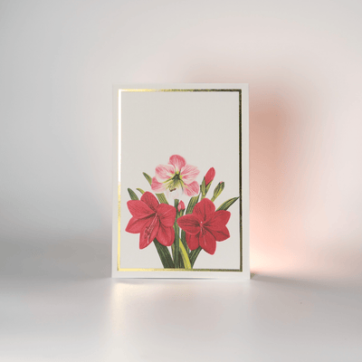 Greeting Cards Floral Collection | Set of 8 | A6 Size – Greeting & Note Cards on Brown Living™. SKU: GC01. Img 6.
