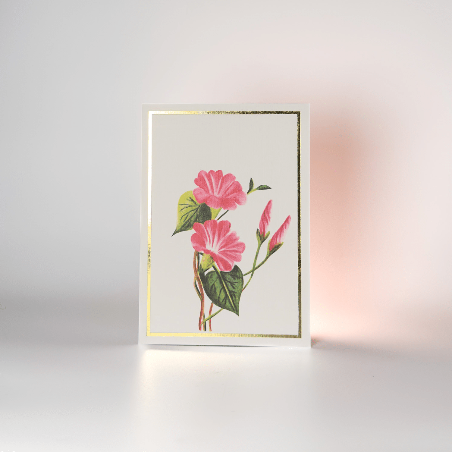 Greeting Cards Floral Collection | Set of 8 | A6 Size – Greeting & Note Cards on Brown Living™. SKU: GC01. Img 10.
