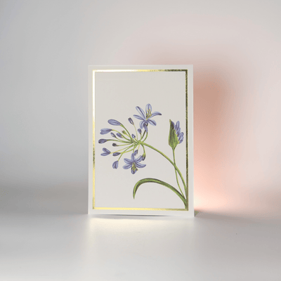 Greeting Cards Floral Collection | Set of 8 | A6 Size – Greeting & Note Cards on Brown Living™. SKU: GC01. Img 5.