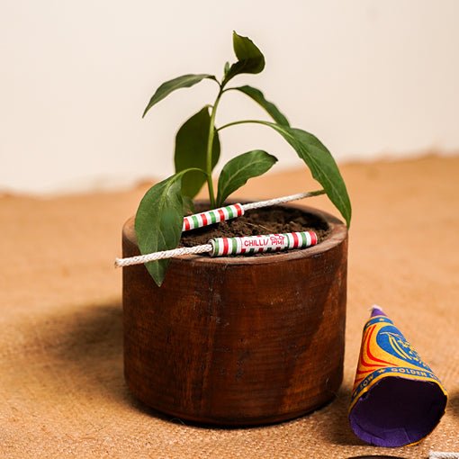 Grow Me Diwali Gift Hamper | Plantable Crackers - Wooden Planter | Verified Sustainable by Brown Living™