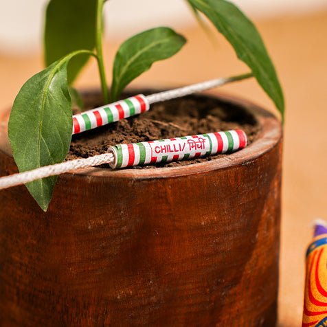 Grow Me Diwali Gift Hamper | Plantable Crackers - Wooden Planter | Verified Sustainable by Brown Living™