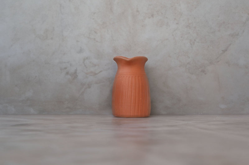 Handamde Terracotta Jug with Carving On All Sides | Verified Sustainable Glasses & Tumblers on Brown Living™