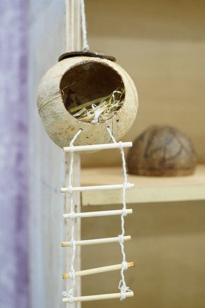 Handcrafted Coconut Shell Bird House with Ladder – Home & Garden on Brown Living™. SKU: KOTT001. Img 1.