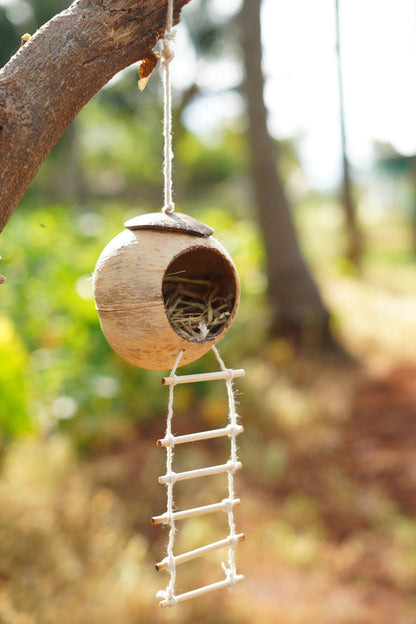 Handcrafted Coconut Shell Bird House with Ladder – Home & Garden on Brown Living™. SKU: KOTT001. Img 2.