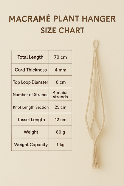 Handcrafted Coconut Shell Plant Hanger | Cotton Rope Hanging Planter – Pots & Planters on Brown Living™. SKU: KOTT022. Img 5.