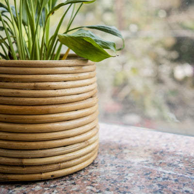 Handcrafted Rattan Coiled Planter Pot – Pots & Planters on Brown Living™. SKU: SYMPP001. Img 2.