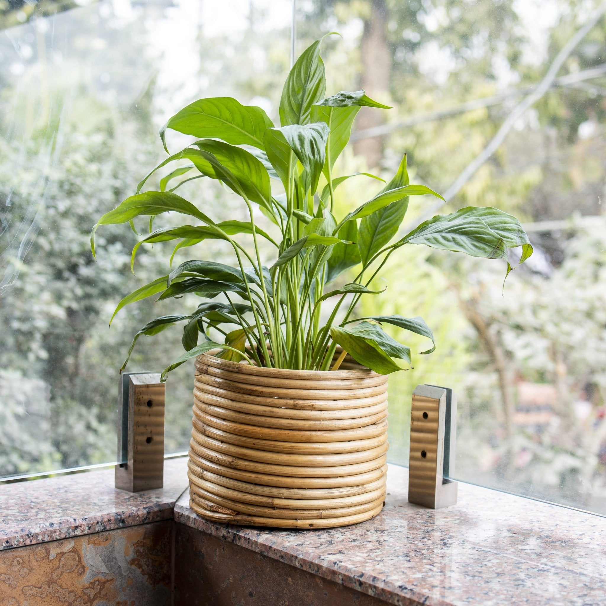 Handcrafted Rattan Coiled Planter Pot – Pots & Planters by AJAARA available on Brown Living™. . SKU: SYMPP001. Img 1.