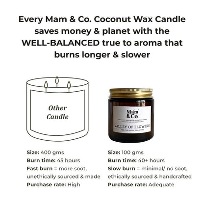 Handcrafted Set of 2 Coconut Wax Candles - Valley of Flowers + Into the Forest | Verified Sustainable by Brown Living™