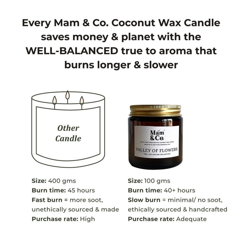 Handcrafted Set of 2 Coconut Wax Candles - Valley of Flowers + Into the Forest | Verified Sustainable Gift Giving on Brown Living™