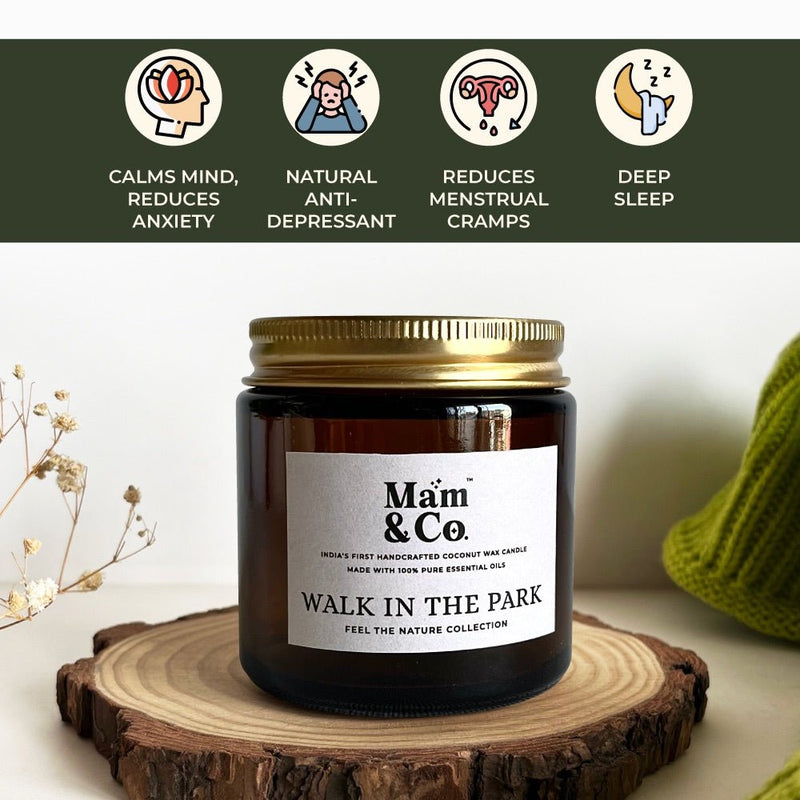 Handcrafted Set of 3 Coconut Wax Candles - Coffee House + Into the Forest + Walk in the Park | Verified Sustainable Gift Giving on Brown Living™