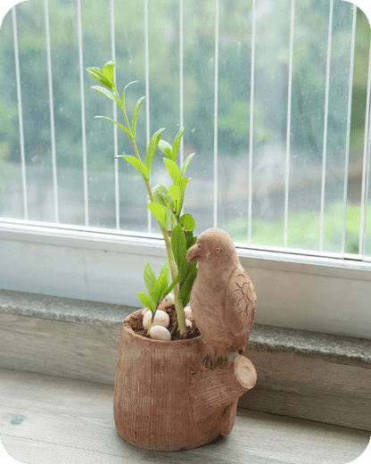 Handmade Earthen Planter – Parrot with Vibrant Wings – Pots & Planters by Swadeh available on Brown Living™. . SKU: A0_plt_0019. Img 1.
