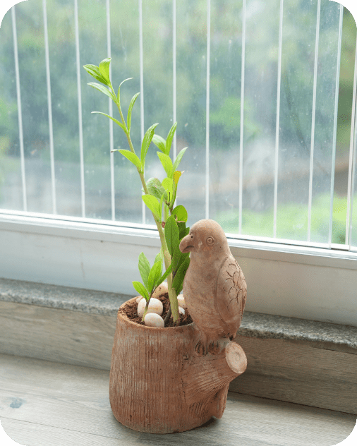 Handmade Earthen Planter – Parrot with Vibrant Wings – Pots & Planters by Swadeh available on Brown Living™. . SKU: A0_plt_0019. Img 1.