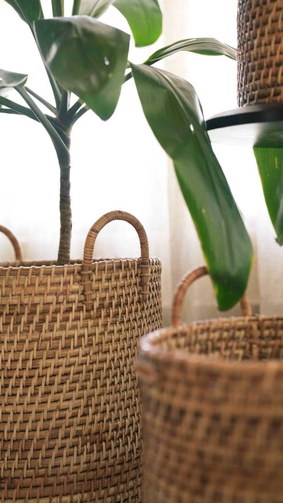 Handmade Rattan Cane Planter with Handles | Set Of 3 – Pots & Planters on Brown Living™. SKU: 901RP. Img 3.