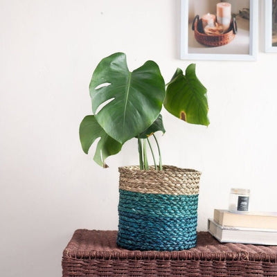 Handmade Sabai Grass Planter – Pots & Planters on Brown Living™. SKU: SBS42NATINGLD - NEW. Img 1.