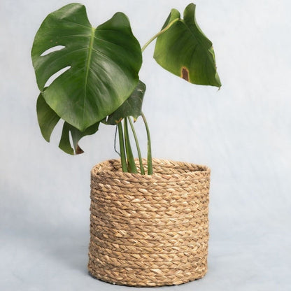 Handmade Sabai Grass Planter - Natural | Verified Sustainable by Brown Living™