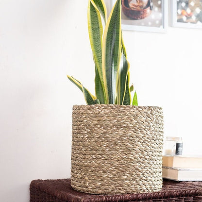 Handmade Sabai Grass Planter - Natural | Verified Sustainable by Brown Living™