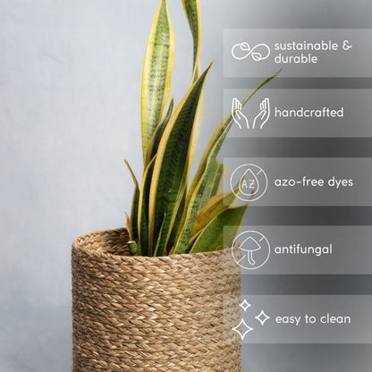 Handmade Sabai Grass Planter - Natural | Verified Sustainable by Brown Living™