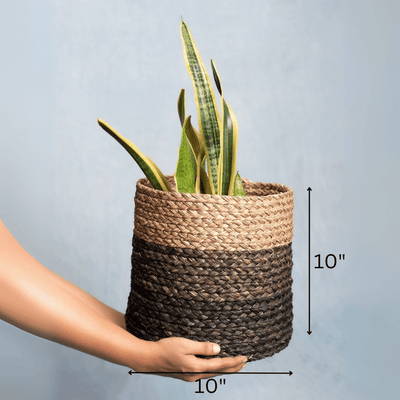 Handmade Sabai Grass Planter – Pots & Planters on Brown Living™. SKU: SBL42NATBLKLD - NEW. Img 12.